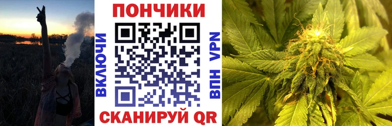 Шишки марихуана сатива  Кунгур 
